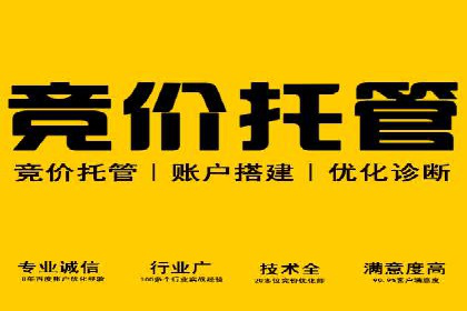 竞价开户技巧解析：案例剖析